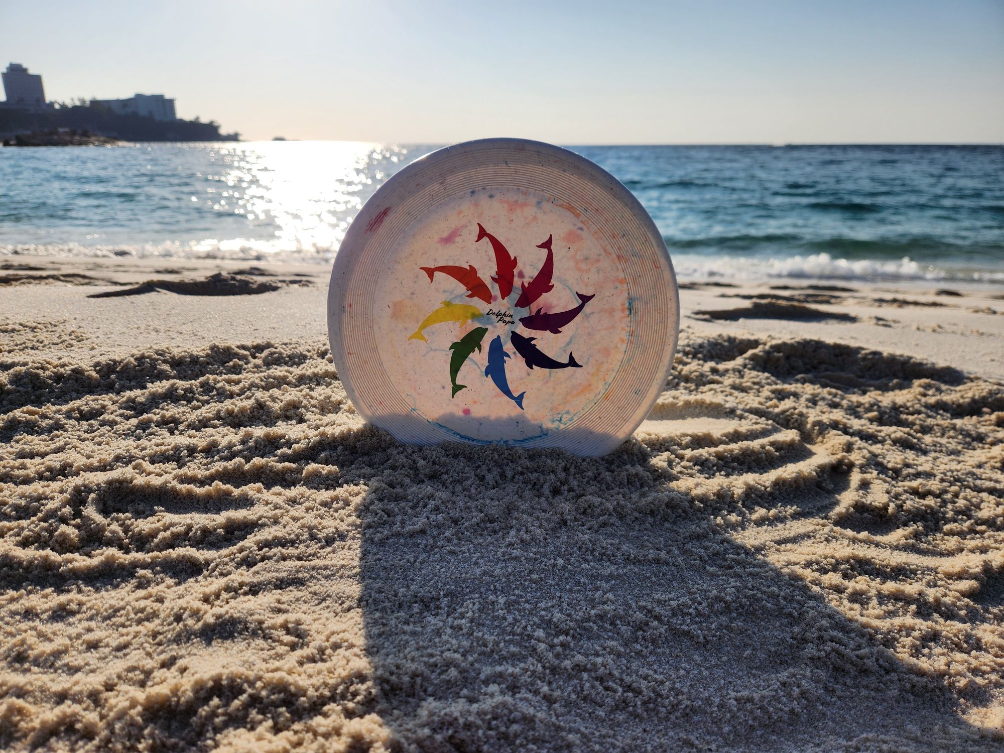 Dolphin Papa合同会社